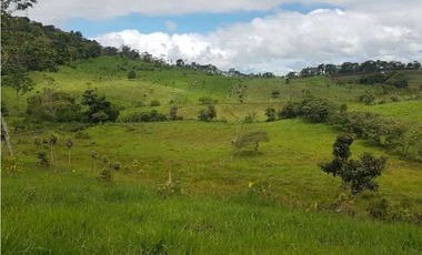 VENDO FINCA DE 20 HECTAREAS + SANTA CLARA