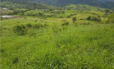 VENDO FINCA DE 20 HECTAREAS + SANTA CLARA