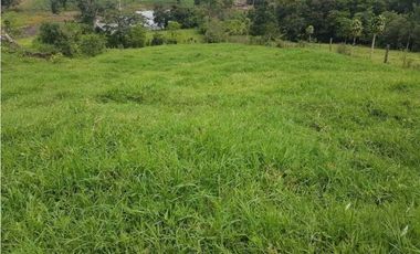 VENDO FINCA DE 20 HECTAREAS + SANTA CLARA