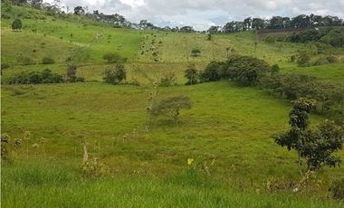 VENDO FINCA DE 20 HECTAREAS + SANTA CLARA