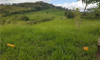 VENDO FINCA DE 20 HECTAREAS + SANTA CLARA