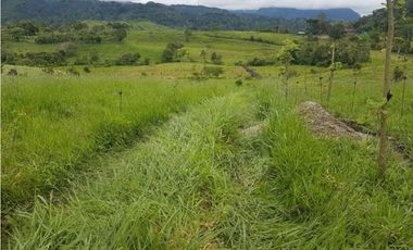 VENDO FINCA DE 20 HECTAREAS + SANTA CLARA