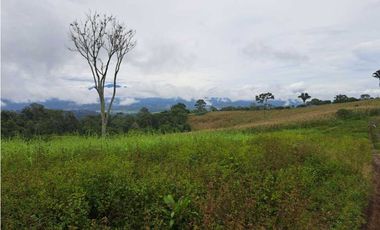VENDO 51 HECTAREAS - SEMI PLANAS 1000M.S.N.M.