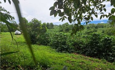 VENDO 51 HECTAREAS - SEMI PLANAS 1000M.S.N.M.