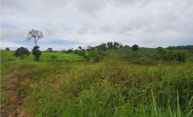 VENDO 51 HECTAREAS - SEMI PLANAS 1000M.S.N.M.