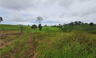 VENDO 51 HECTAREAS - SEMI PLANAS 1000M.S.N.M.