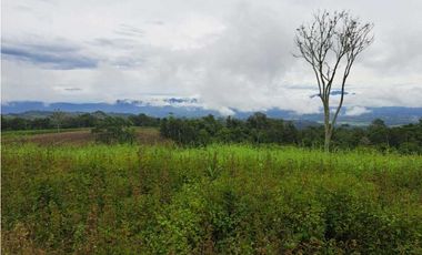 VENDO 51 HECTAREAS - SEMI PLANAS 1000M.S.N.M.