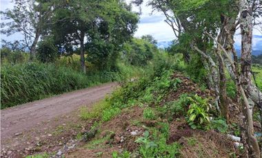 VENDO 51 HECTAREAS - SEMI PLANAS 1000M.S.N.M.