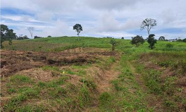 VENDO 51 HECTAREAS - SEMI PLANAS 1000M.S.N.M.