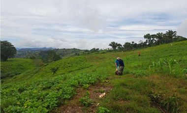 VENDO 51 HECTAREAS - SEMI PLANAS 1000M.S.N.M.