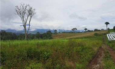 VENDO 51 HECTAREAS - SEMI PLANAS 1000M.S.N.M.