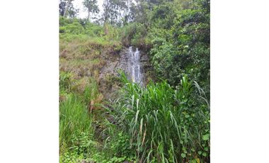 VENDO 51 HECTAREAS - SEMI PLANAS 1000M.S.N.M.