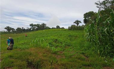 VENDO 51 HECTAREAS - SEMI PLANAS 1000M.S.N.M.