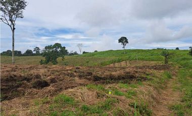 VENDO 51 HECTAREAS - SEMI PLANAS 1000M.S.N.M.