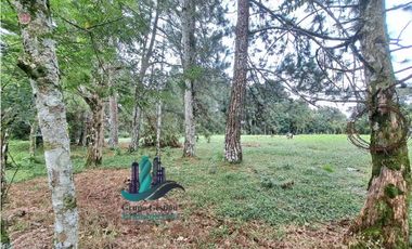 VENDO LOTE DE 5000M2 POTRERILLOS VIA ARRIBA