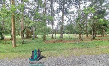 VENDO LOTE DE 5000M2 POTRERILLOS VIA ARRIBA