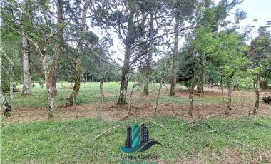 VENDO LOTE DE 5000M2 POTRERILLOS VIA ARRIBA