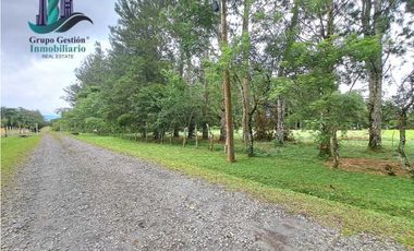 VENDO LOTE DE 5000M2 POTRERILLOS VIA ARRIBA