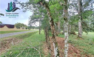 VENDO LOTE DE 5000M2 POTRERILLOS VIA ARRIBA