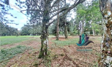 VENDO LOTE DE 5000M2 POTRERILLOS VIA ARRIBA
