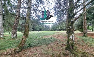 VENDO LOTE DE 5000M2 POTRERILLOS VIA ARRIBA