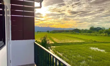 2 Bedroom Townhouse for sale in Mueang Phan, Chiang Rai