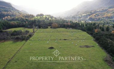 venta de tres terrenos orilla lago Ranco