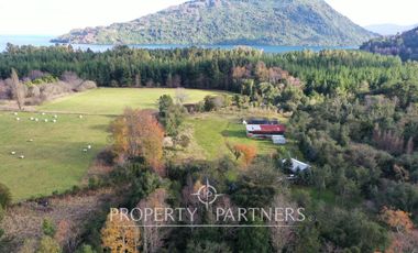 venta de tres terrenos orilla lago Ranco