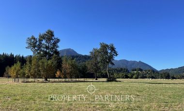 venta de tres terrenos orilla lago Ranco