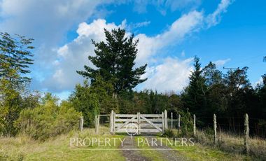 venta de tres terrenos orilla lago Ranco