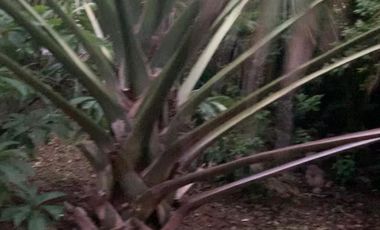 VENTA CASA VALLADOLID YUCATÁN