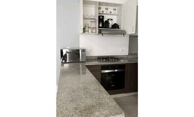 Apartamento amoblado en arriendo en la castellana