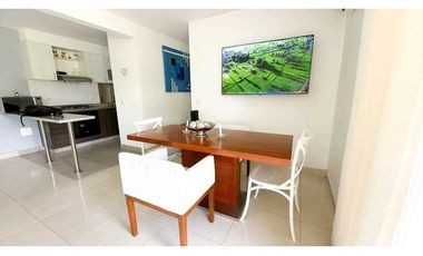 Apartamento amoblado en arriendo en la castellana