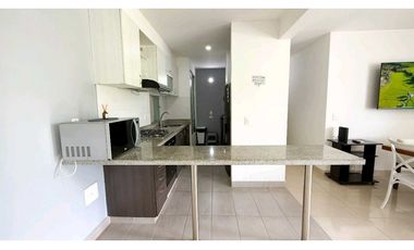 Apartamento amoblado en arriendo en la castellana