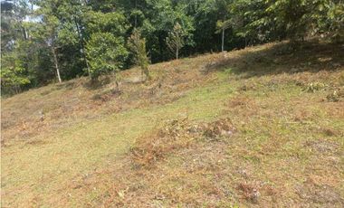 VENTA DE LOTE EN PAVAS MUNICIPIO DE LA CUMBRE