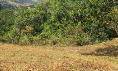 VENTA DE LOTE EN PAVAS MUNICIPIO DE LA CUMBRE