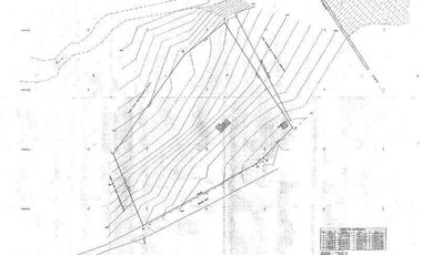 Terreno para desarrollo industrial o habitacional
