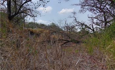 Se vende Terreno en Las Lajas (HH)