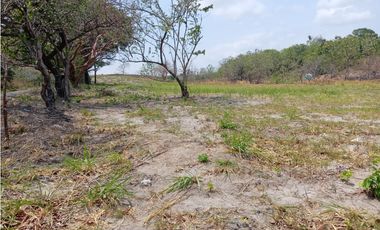 Se vende Terreno en Las Lajas (HH)