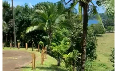 VENTA DE FINCA GANADERA EN COLÓN MARIA CHIQUITA, HERMOSA Y OPERATIVA