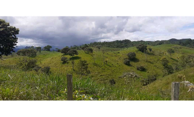 VENTA DE FINCA GANADERA EN COLÓN MARIA CHIQUITA, HERMOSA Y OPERATIVA