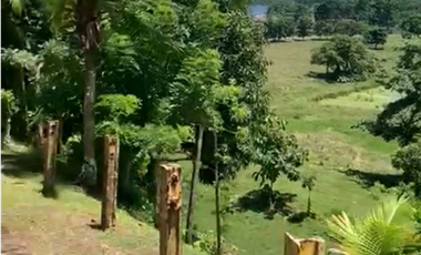 VENTA DE FINCA GANADERA EN COLÓN MARIA CHIQUITA, HERMOSA Y OPERATIVA