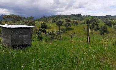 VENTA DE FINCA GANADERA EN COLÓN MARIA CHIQUITA, HERMOSA Y OPERATIVA