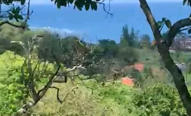VENTA DE FINCA GANADERA EN COLÓN MARIA CHIQUITA, HERMOSA Y OPERATIVA