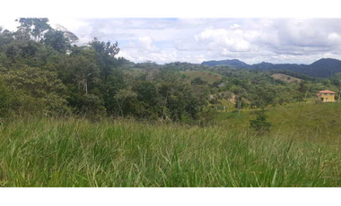 VENTA DE FINCA GANADERA EN COLÓN MARIA CHIQUITA, HERMOSA Y OPERATIVA