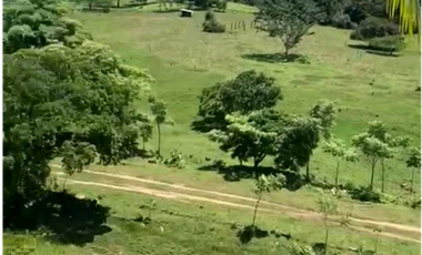 VENTA DE FINCA GANADERA EN COLÓN MARIA CHIQUITA, HERMOSA Y OPERATIVA