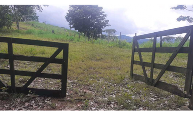VENTA DE FINCA GANADERA EN COLÓN MARIA CHIQUITA, HERMOSA Y OPERATIVA