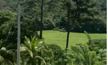 VENTA DE FINCA GANADERA EN COLÓN MARIA CHIQUITA, HERMOSA Y OPERATIVA