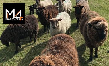 Parcela en Venta en Rilan