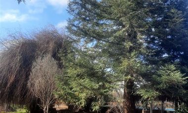 Casa en Venta en Isla de Marchant, Curicó